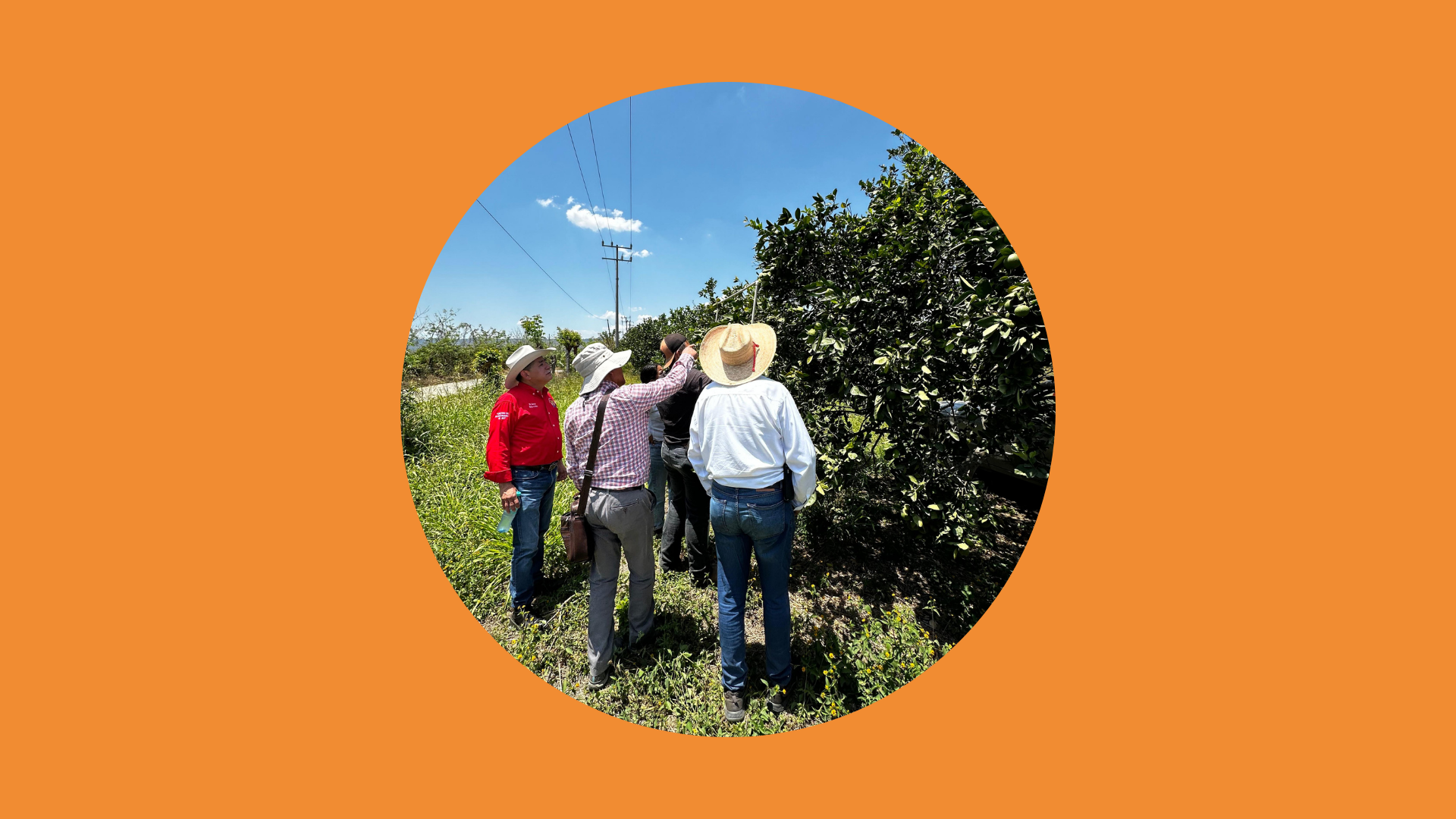 Diseño sin título (2)